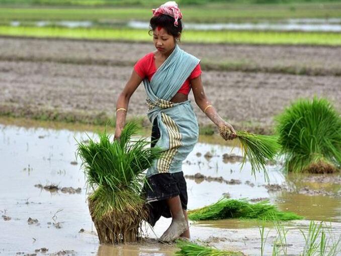 印度内阁经济事务委员会批准7745亿卢比用于东北农业营销公司的复兴